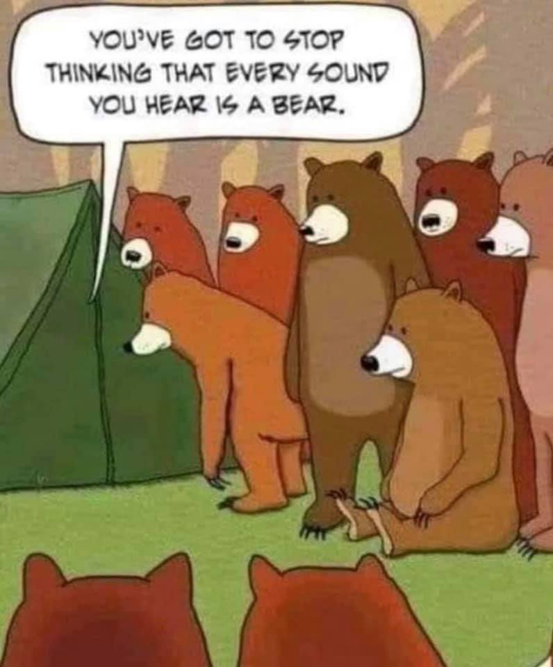 Bear