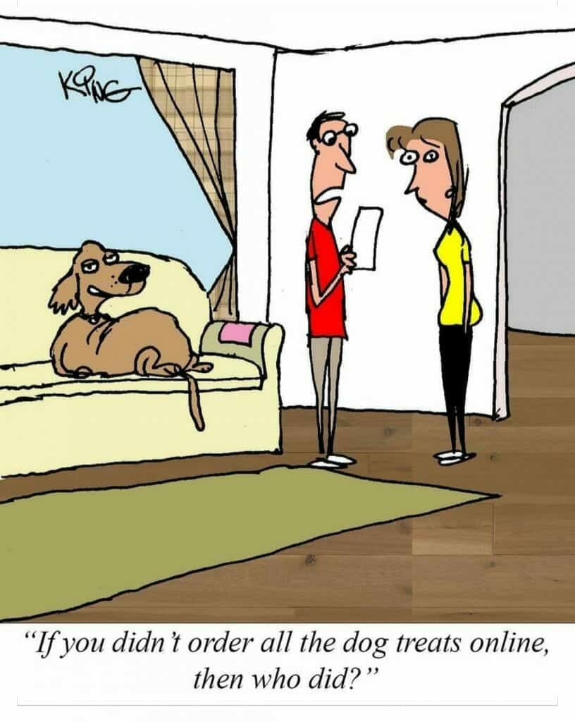 Cartoon of a man and woman discussing a suspicious dog sitting on a couch, with the man holding a paper and questioning the woman about ordering dog treats online.