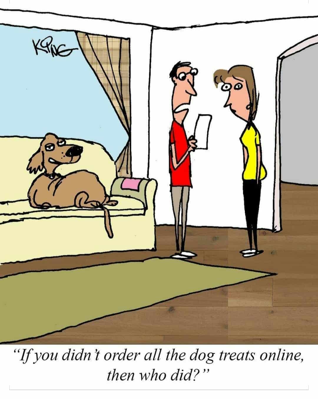 Dog Treats Online
