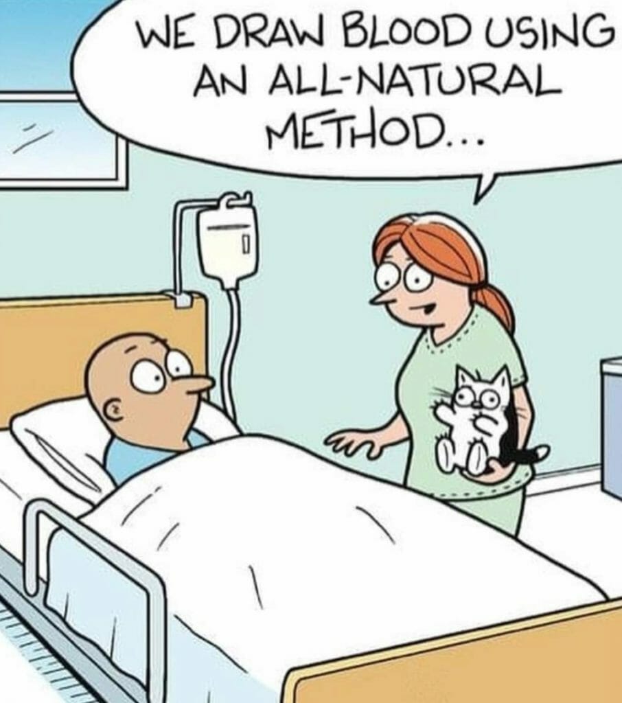 Cartoon of a nurse holding a scared cat in a hospital room talking to a patient in bed saying, 'We draw blood using an all-natural method...'