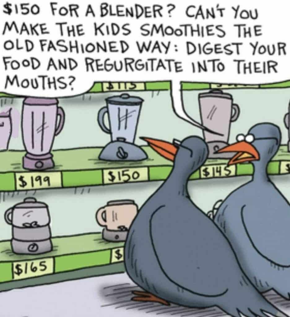 Cartoon of two pigeons shopping for blenders with price tags, one bird suggesting regurgitating food for kids instead of buying an expensive blender.