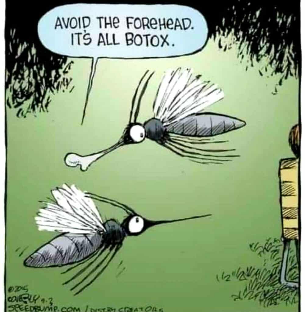 Cartoon of two mosquitoes flying near a person, one mosquito warning the other to avoid the forehead because of botox injections.