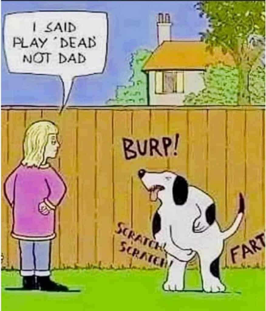 Cartoon of a dog misinterpreting 'play dead' by burping, scratching, and farting while owner looks on.