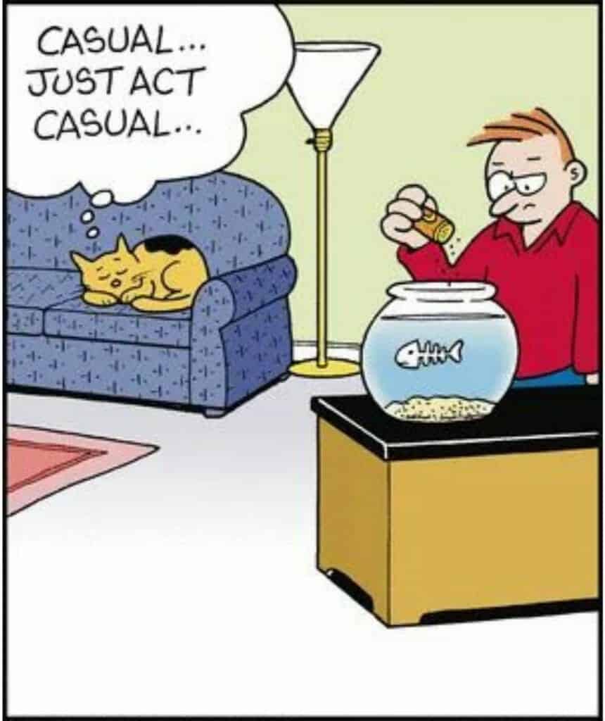 Cartoon of a man sprinkling fish food into a fishbowl with a skeleton fish inside, while a yellow cat on a blue couch thinks, 'Casual... just act casual...'.