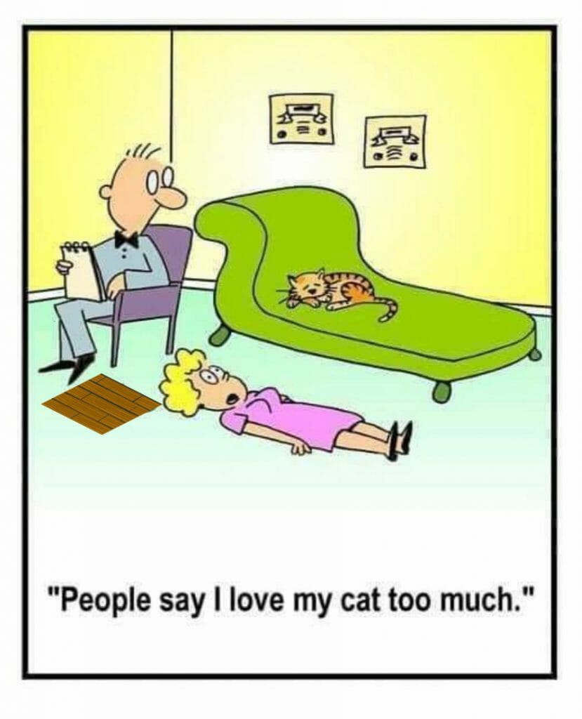 Cartoon of a woman lying on the floor in a therapist's office while the cat sleeps on a green chaise lounge, with the woman saying she loves her cat too much.