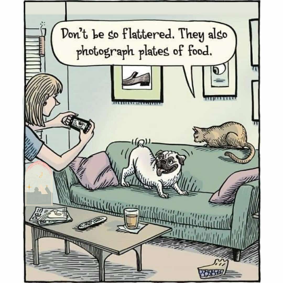 Do they