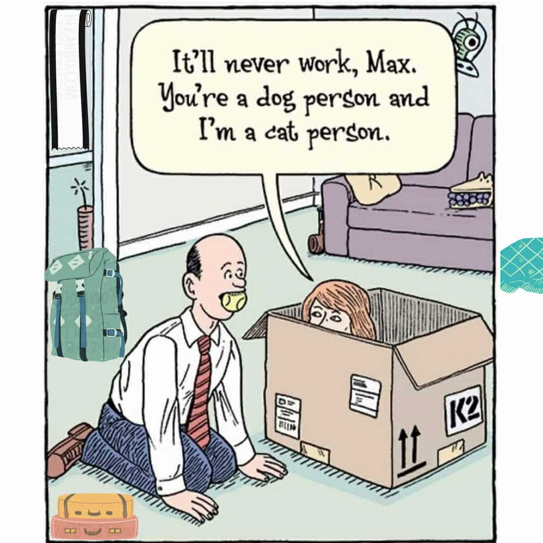 Dog vs cat