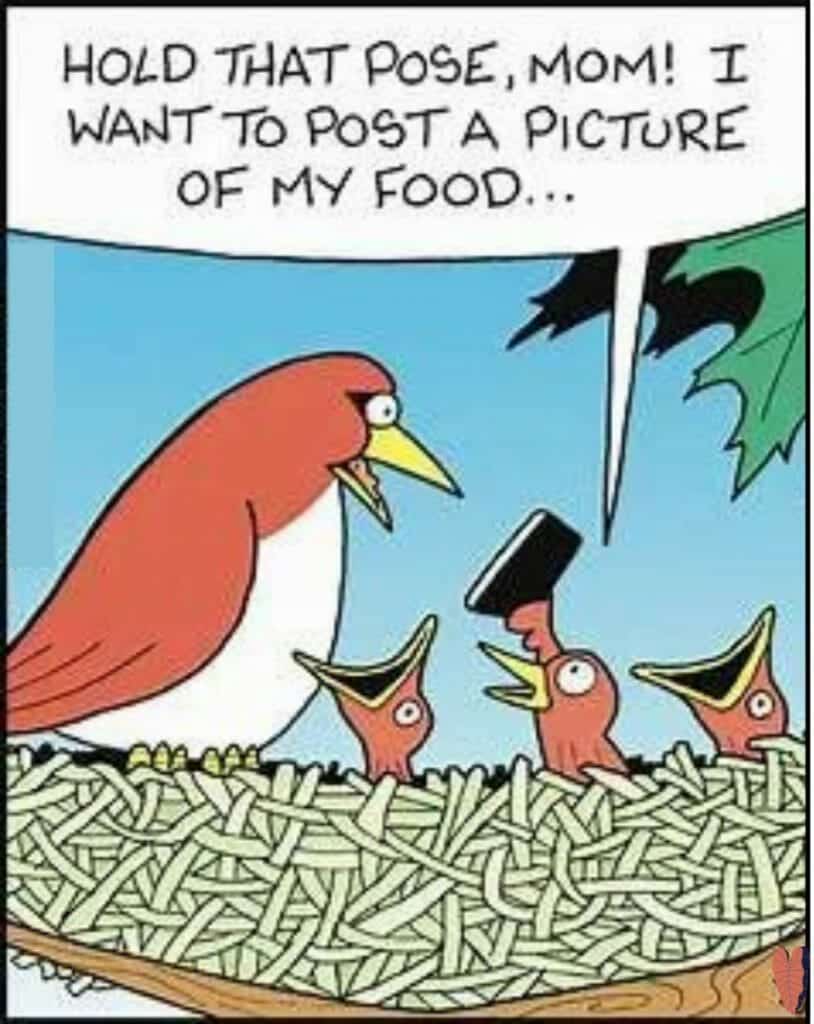 Food post