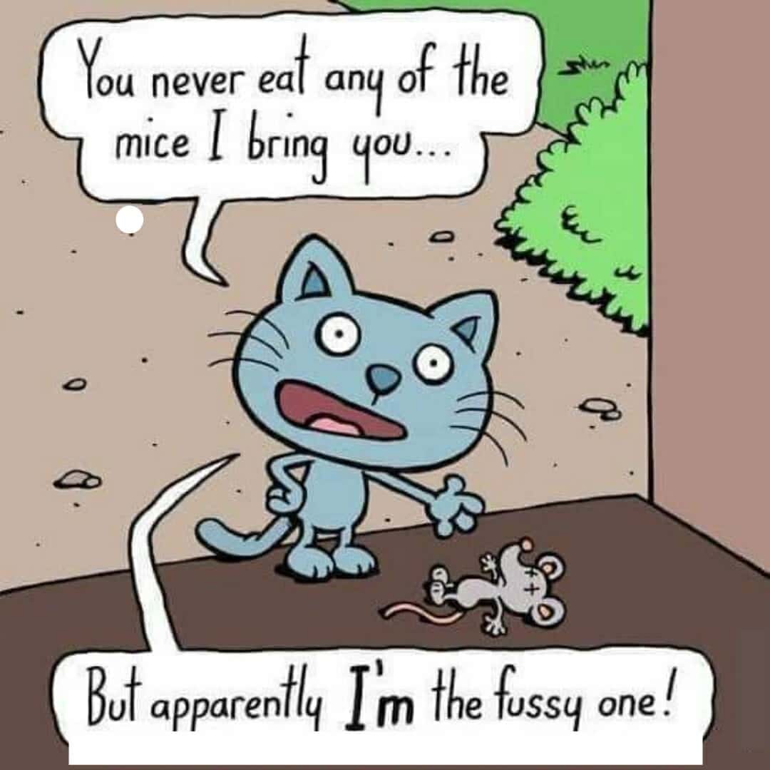 Fussy