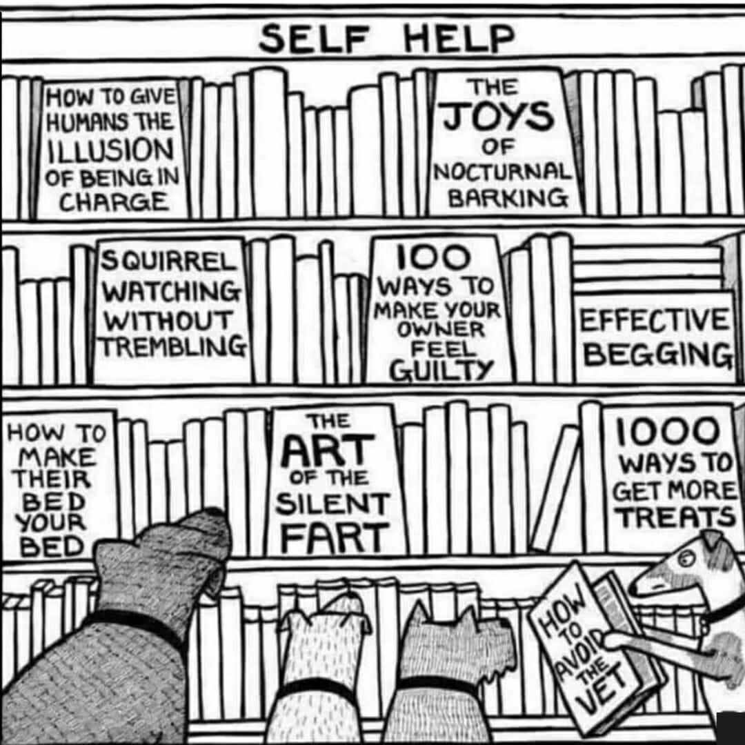 Hahaha