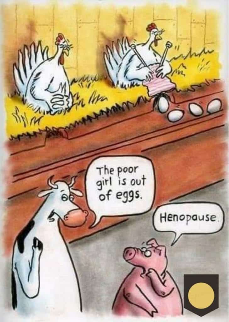 Cartoon of two hens in a nesting box, one knitting while eggs roll out, a cow and pig watching, with the pig saying 'Henopause' indicating a hen stopped laying eggs.