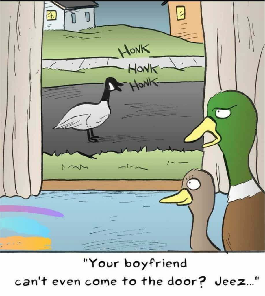 Honk honk