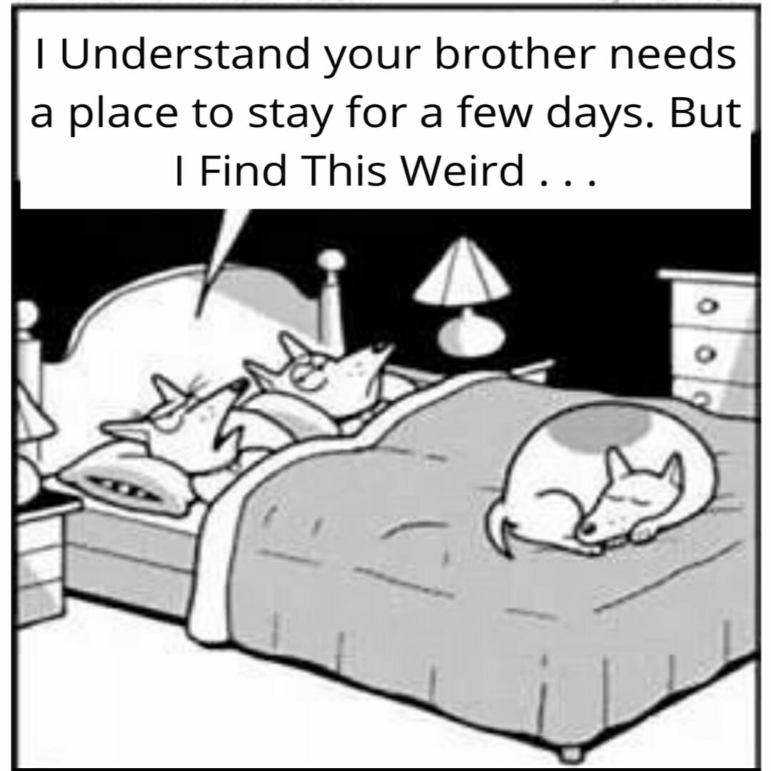 It is kinda weird