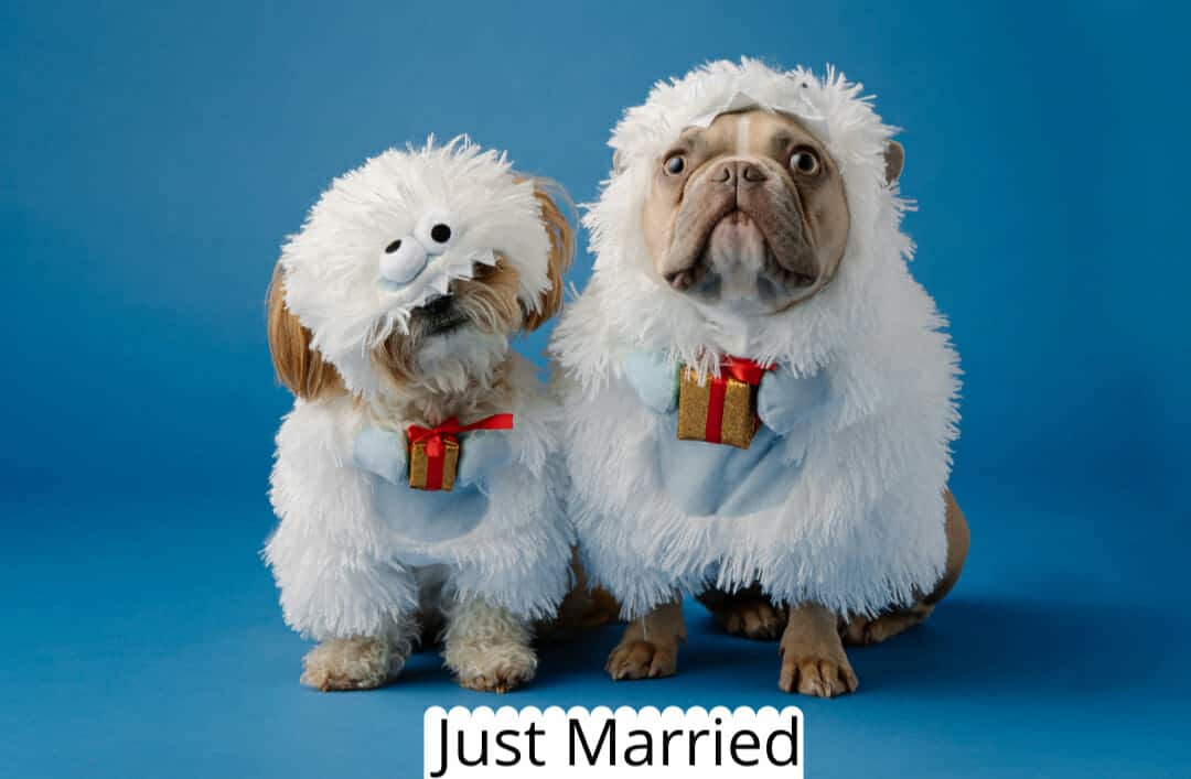 Just married