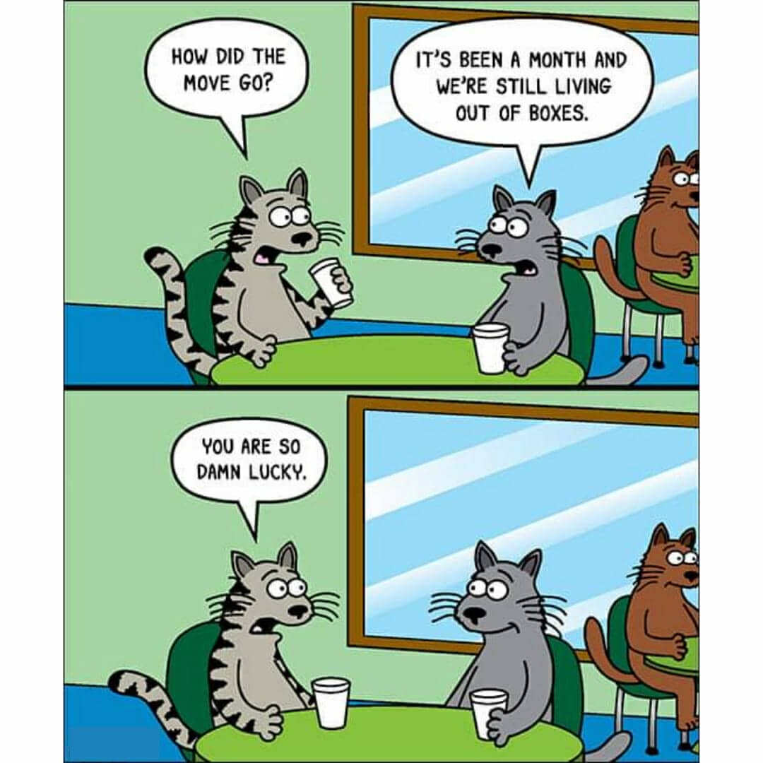 Lucky you