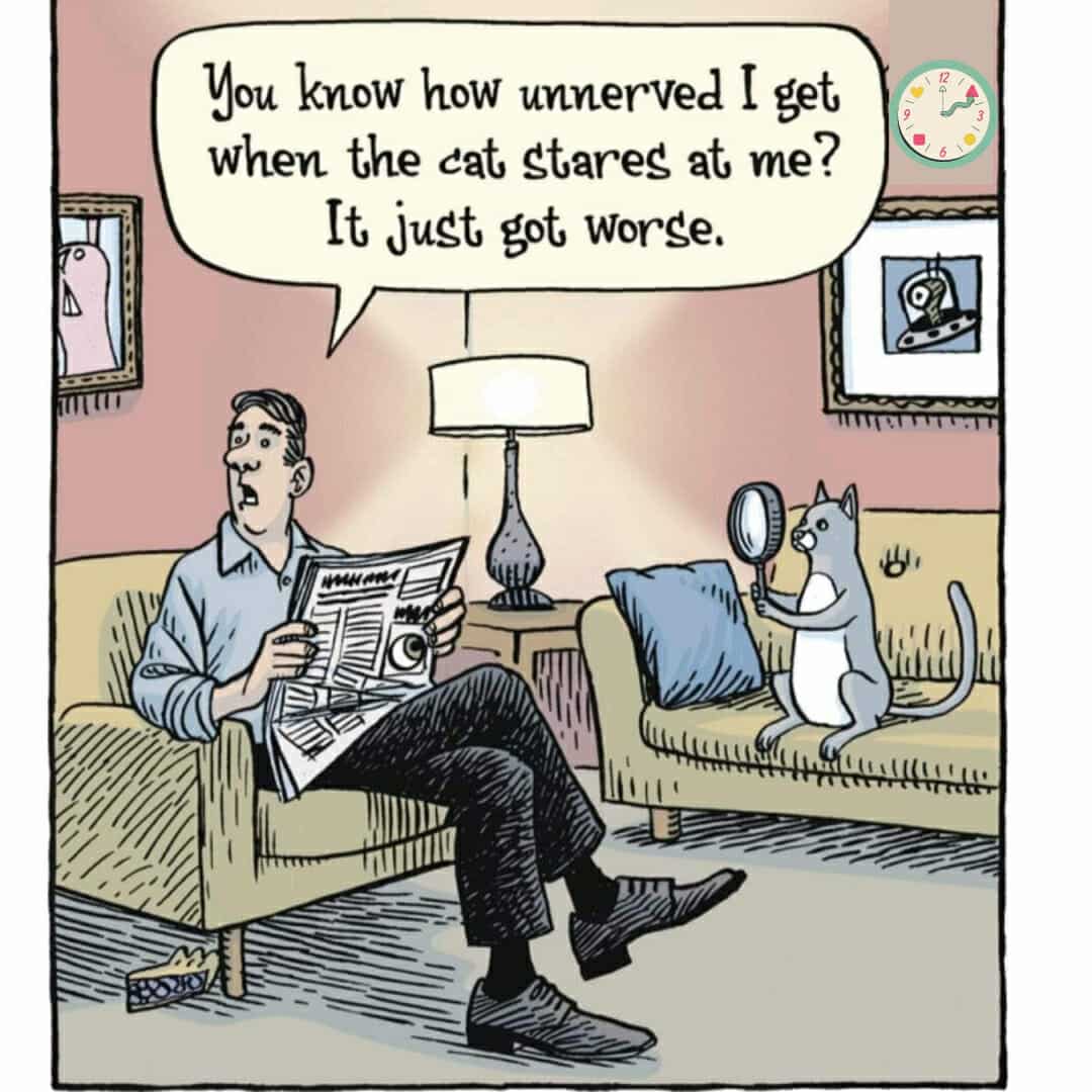 Meow