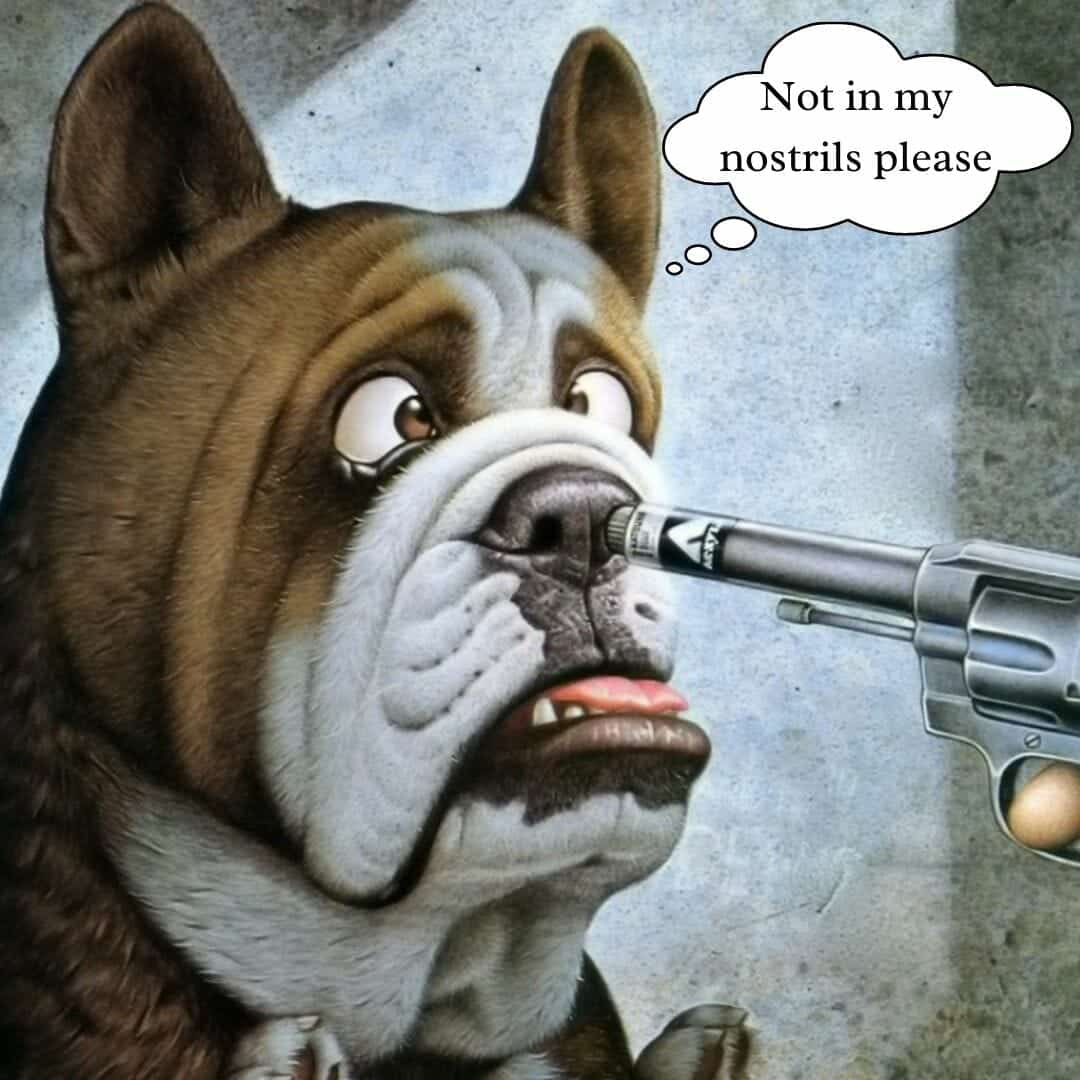 Not in my nostrils please