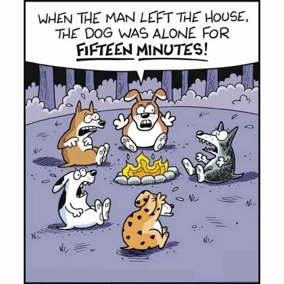 Poor creature hahaha