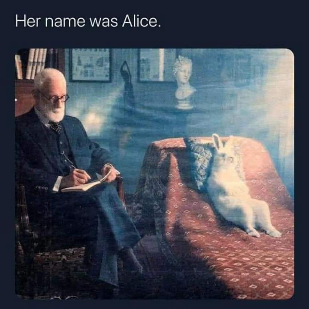 Rabbit therapy