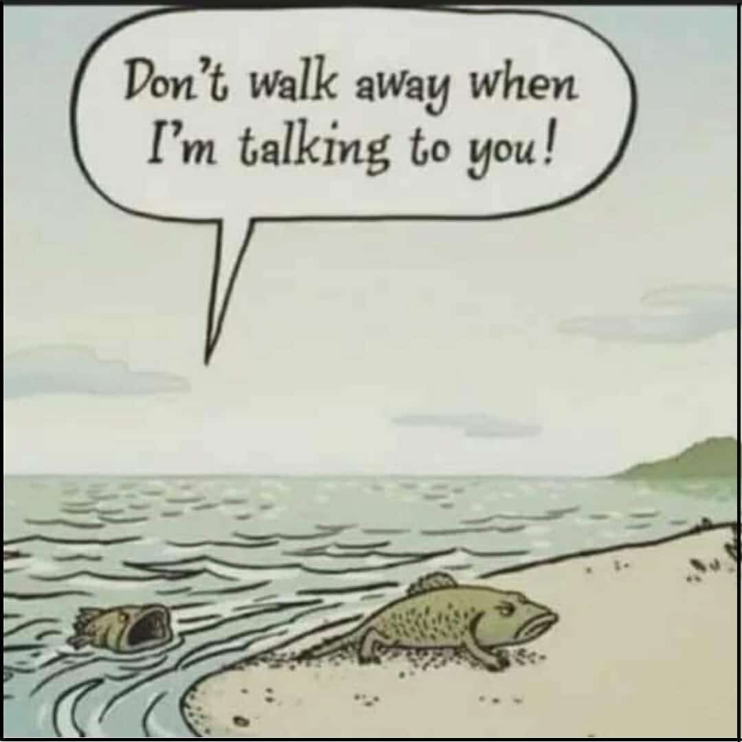 The real reason evolution started