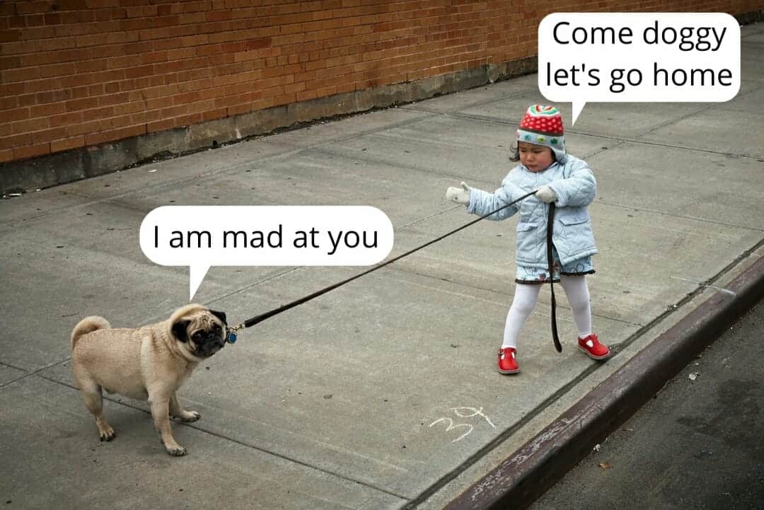 Uh oh