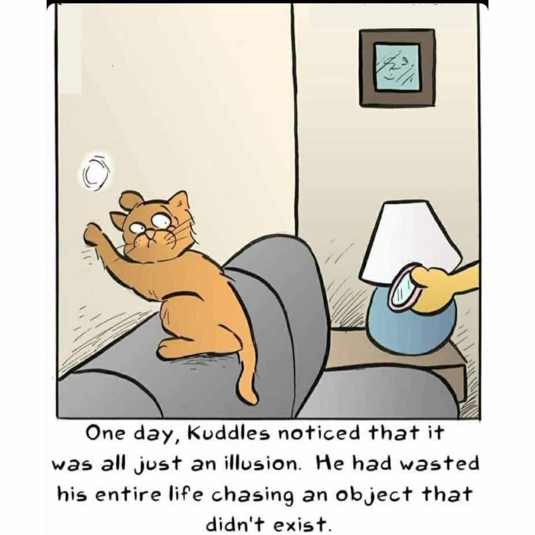 What illusion you say