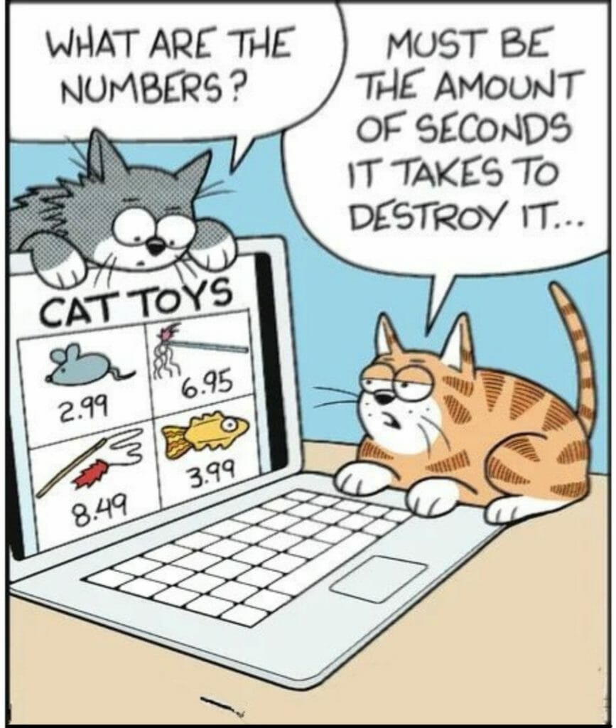 Two cartoon cats looking at a laptop screen showing cat toys with prices.