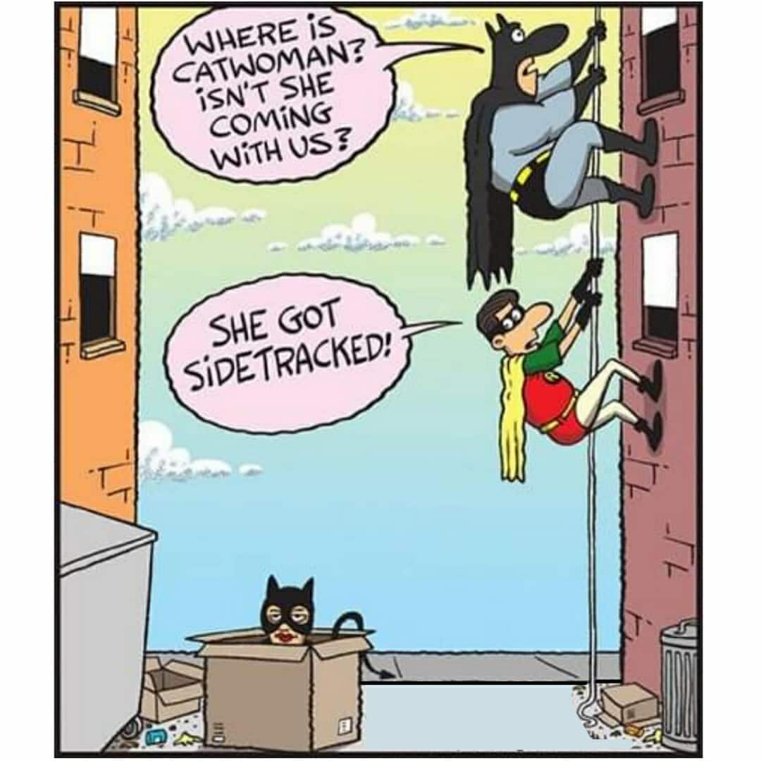 Damn catwoman