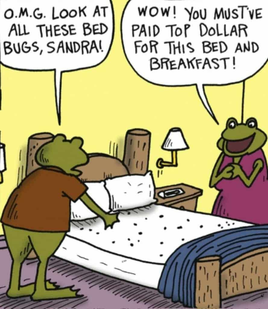 Cartoon frogs in a bedroom noticing bed bugs on the bed.
