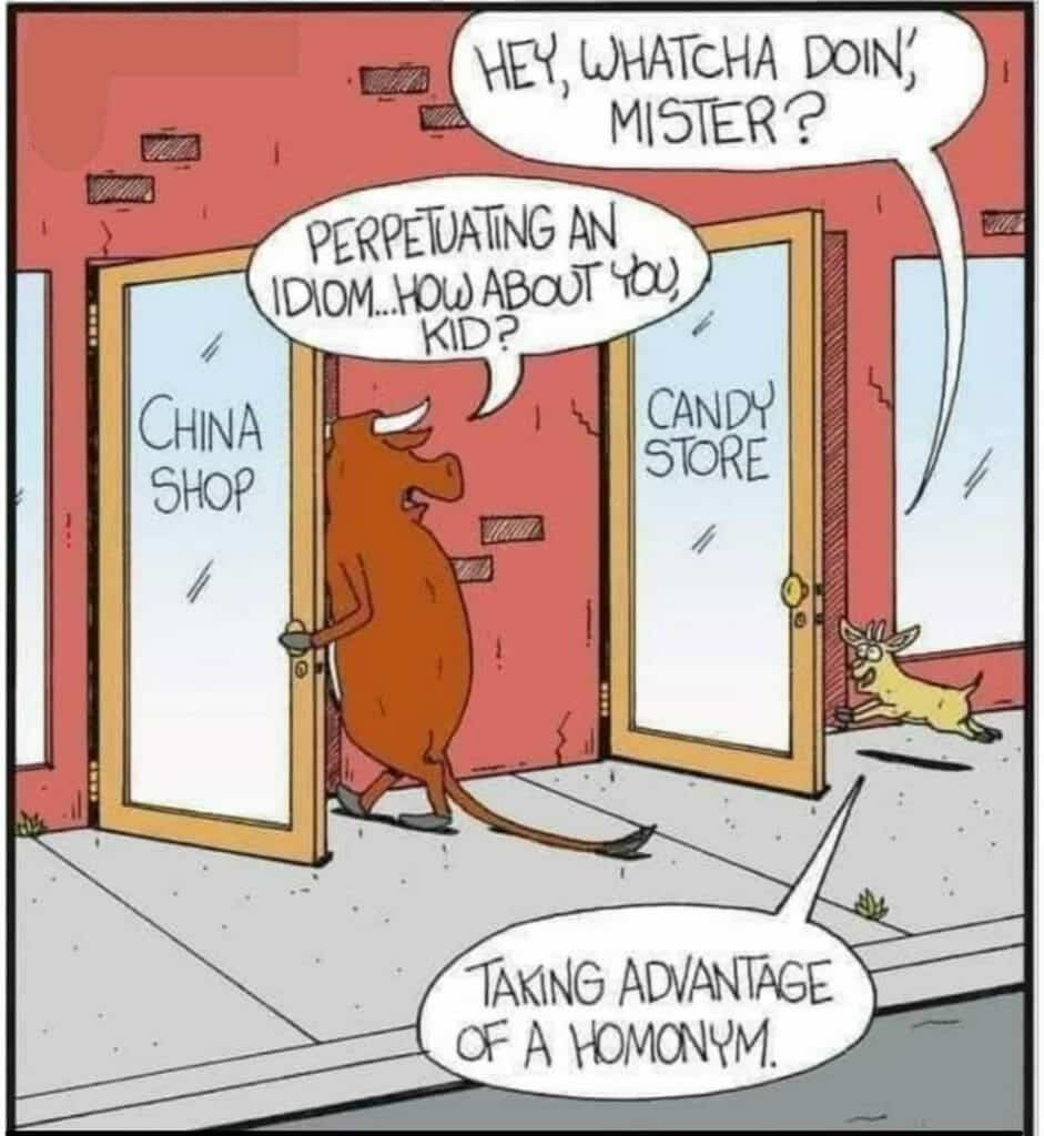 Cartoon showing a bull entering a shop labeled 'China Shop' and a deer running toward a 'Candy Store'. The bull says he's 'perpetuating an idiom' and the deer says 'taking advantage of a homonym'.