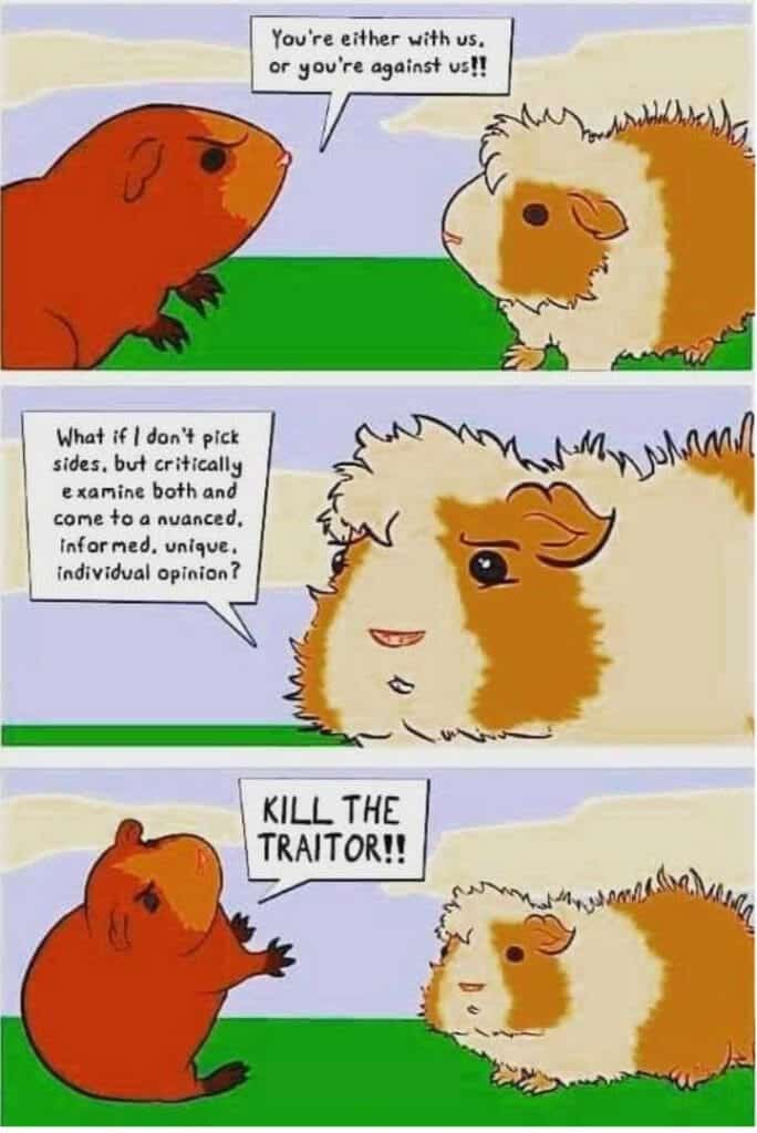 Kill the traitor