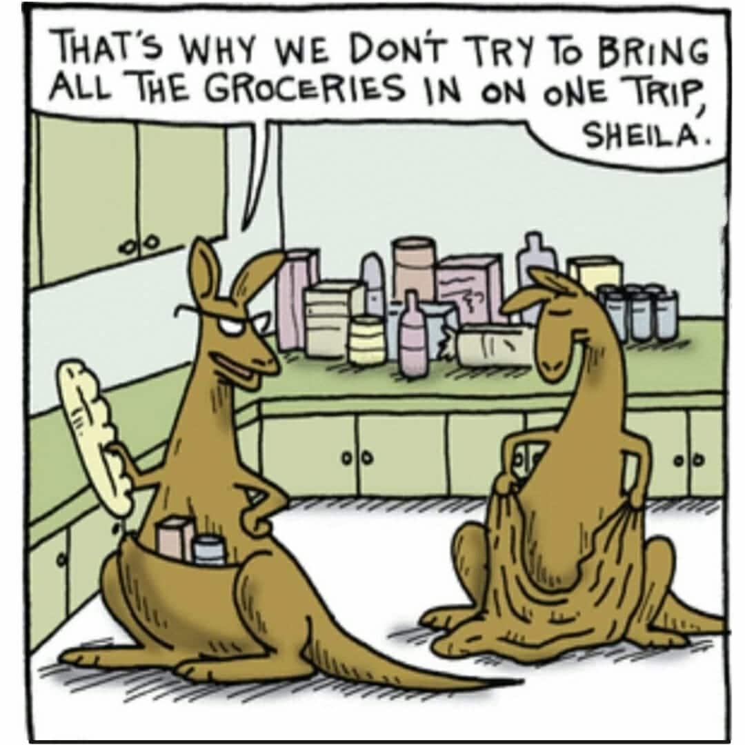 Learn your lessons well Sheila