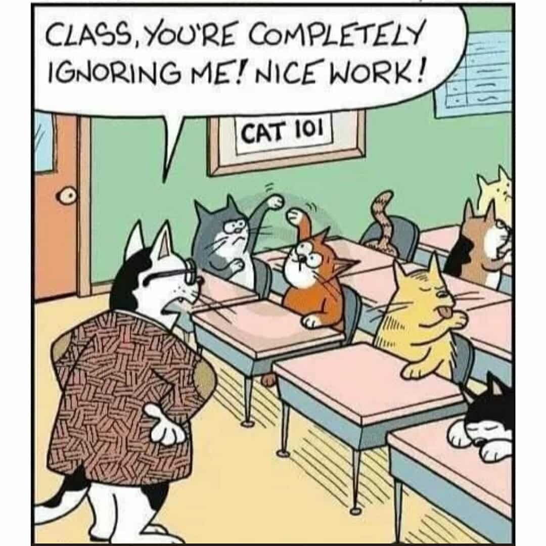 Lol