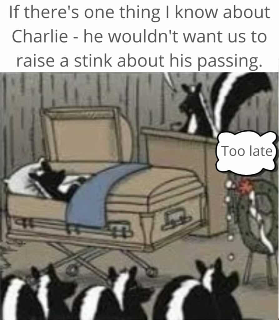 Cartoon skunks at a funeral with one skunk in a coffin and another saying 'Too late'