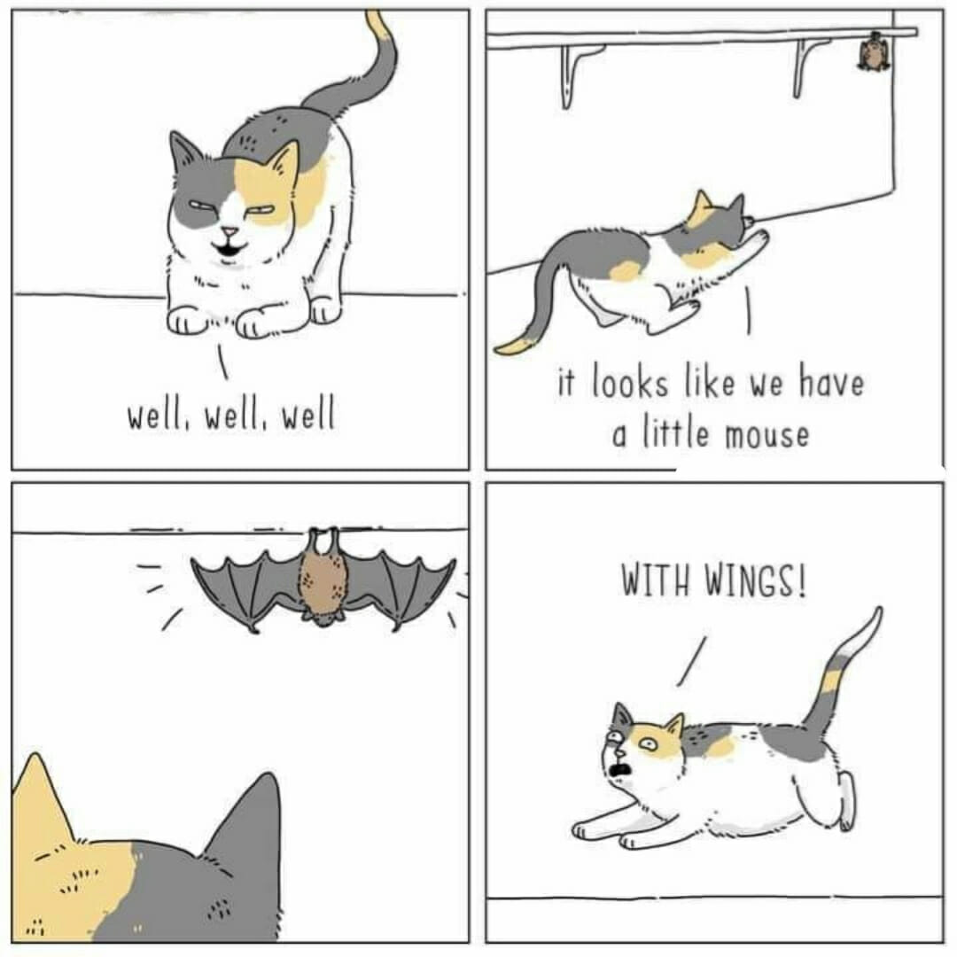 With wings
