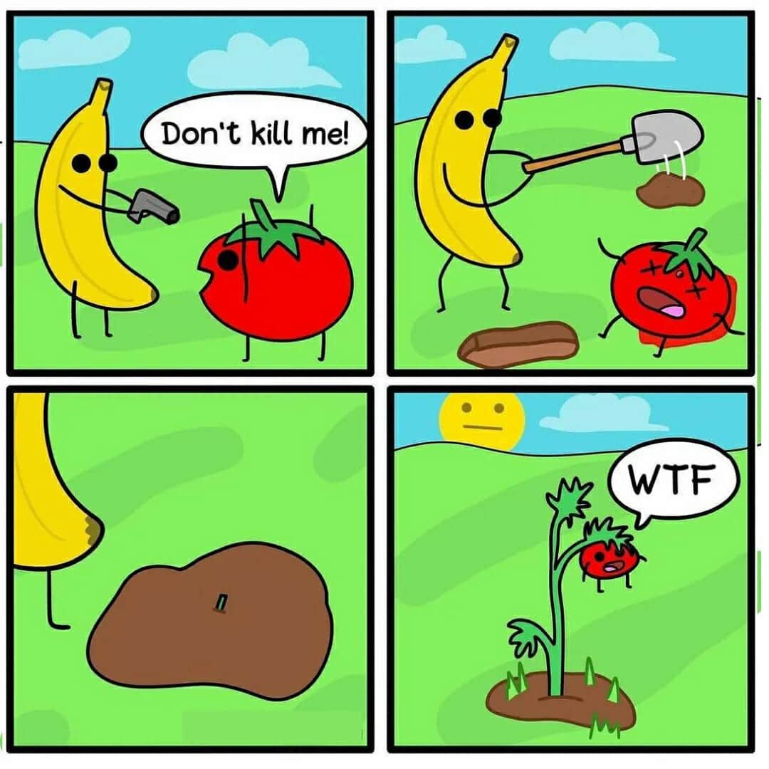 wtf