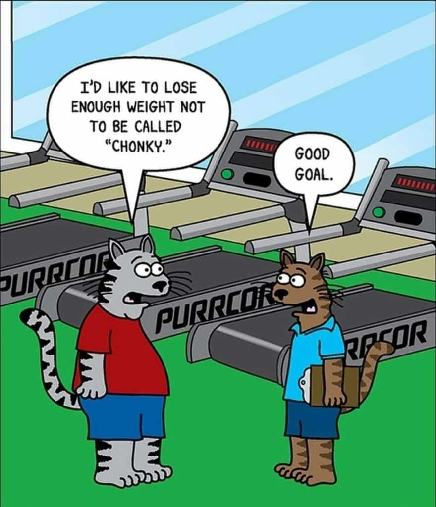 Cartoon of two anthropomorphic cats at a gym with treadmills labeled 'Purrcor.' One cat in red says, 'I'd like to lose enough weight not to be called chonky.' The other cat in blue responds, 'Good goal.'