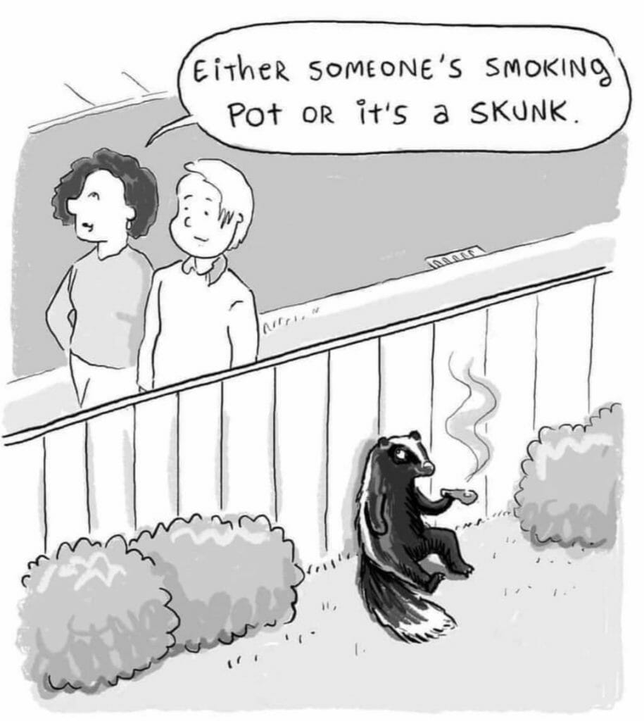 Cartoon of two people looking over a fence at a skunk holding a smoking joint, with one person saying, "Either someone's smoking pot or it's a skunk."
