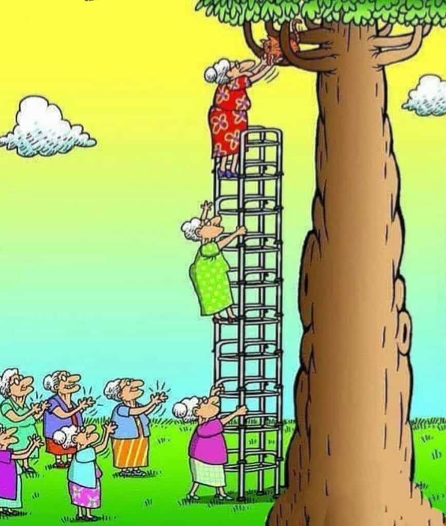 Cartoon of elderly women teamwork: one woman climbing stacked chairs to reach a squirrel in a tree, others cheering below.