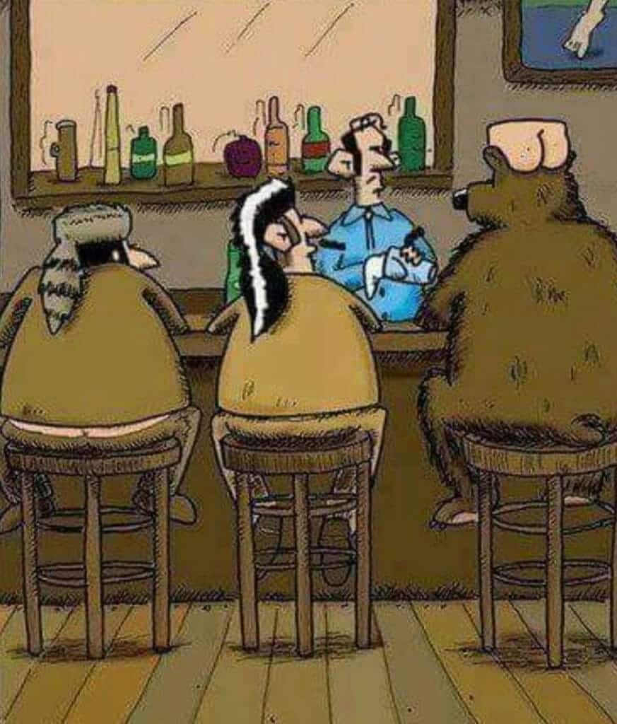 Cartoon of a raccoon, a skunk, and a bear sitting side-by-side at a bar with a bartender in front of them.