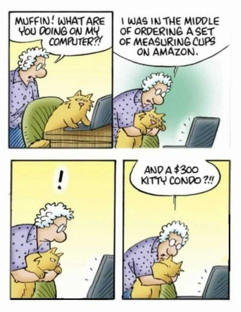 You Kitty