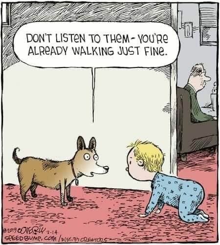 Cartoon of a baby on all fours being advised by a dog to keep walking fine.