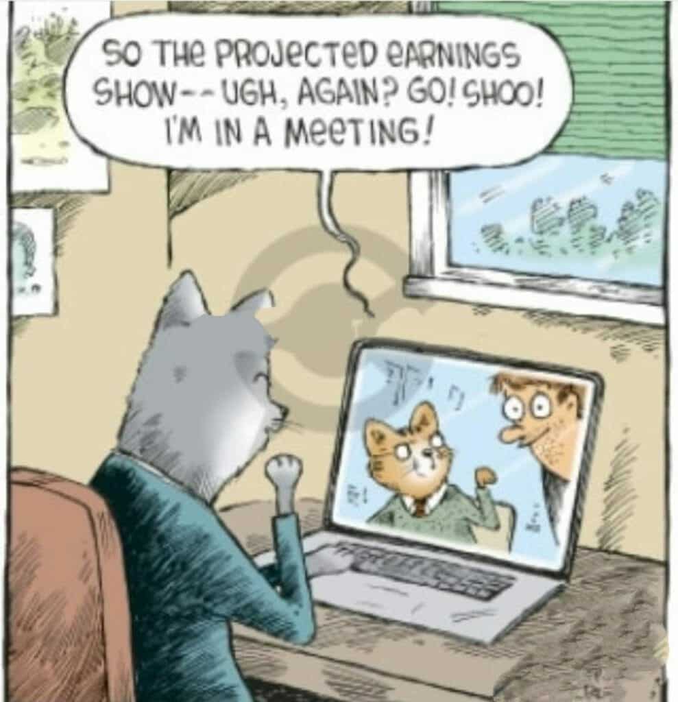 Cat sitting at desk in front of laptop with video call showing a human and a cat, cat saying it's in a meeting.