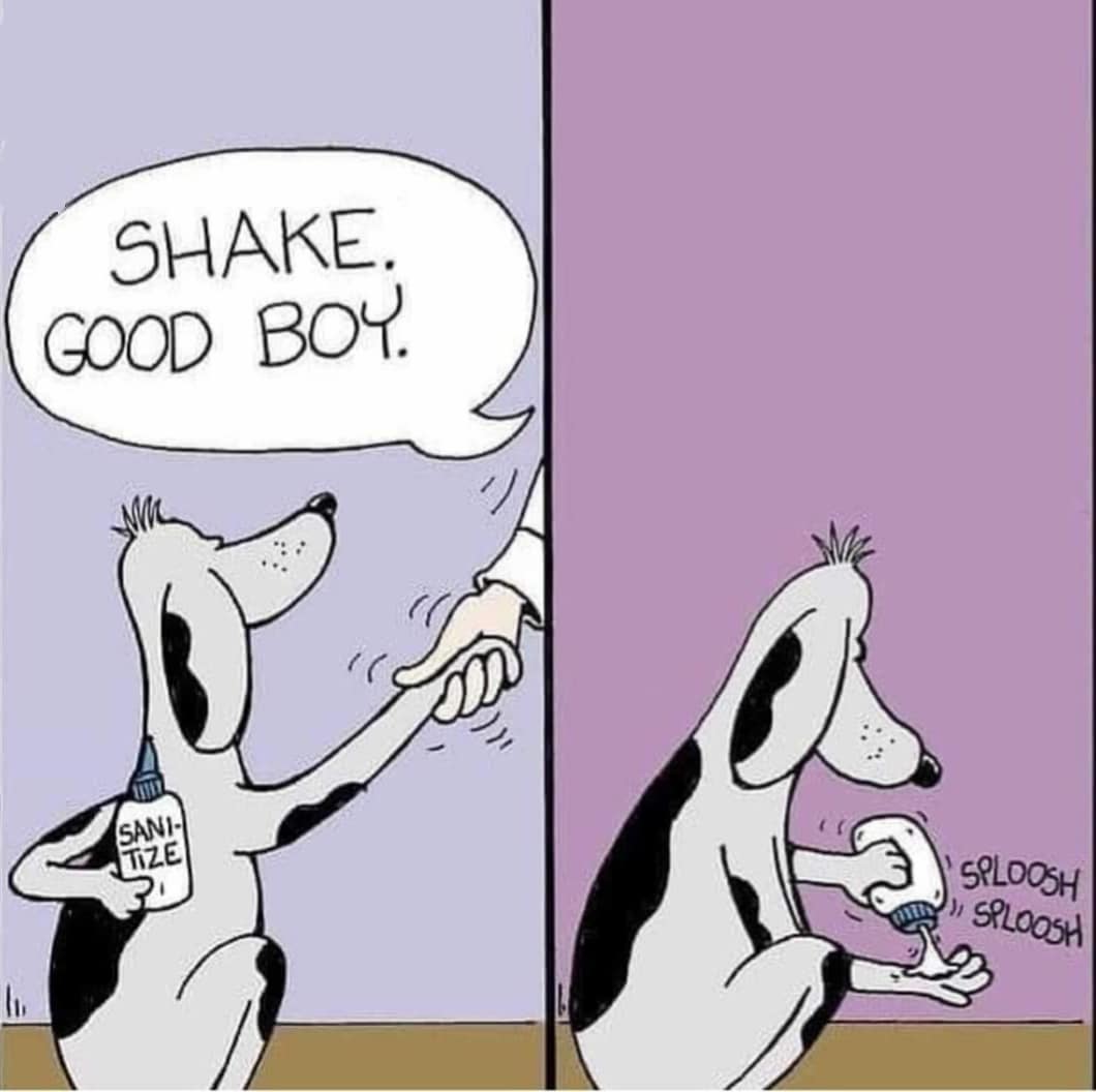 Good boy
