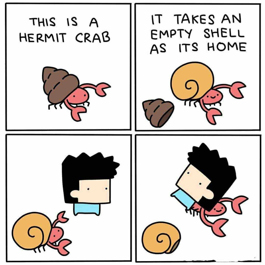 Hermit crab dick size meme