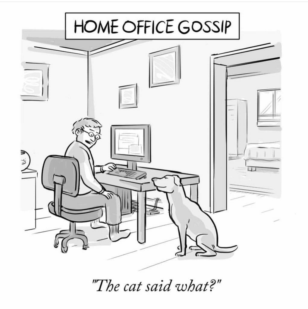 Cartoon of a man sitting at a computer desk looking back surprised at a dog sitting beside him, with the caption 'The cat said what?' and the title 'Home office gossip'.