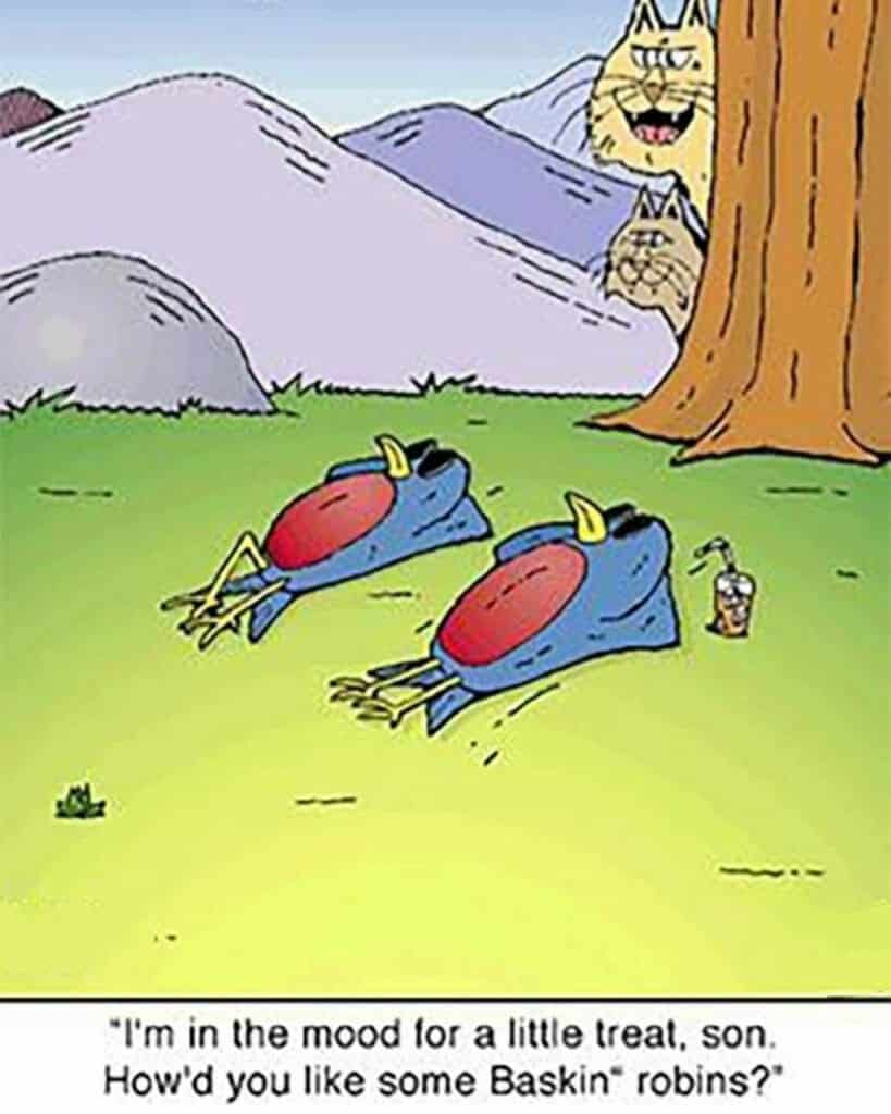 Two birds lying on the grass with sunglasses, while two cats peek from behind a tree.