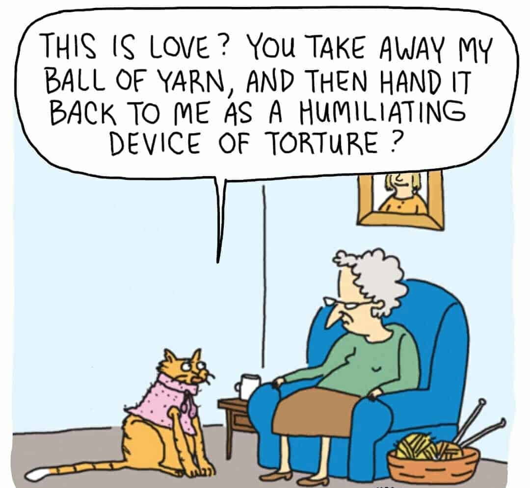Is this love hooman