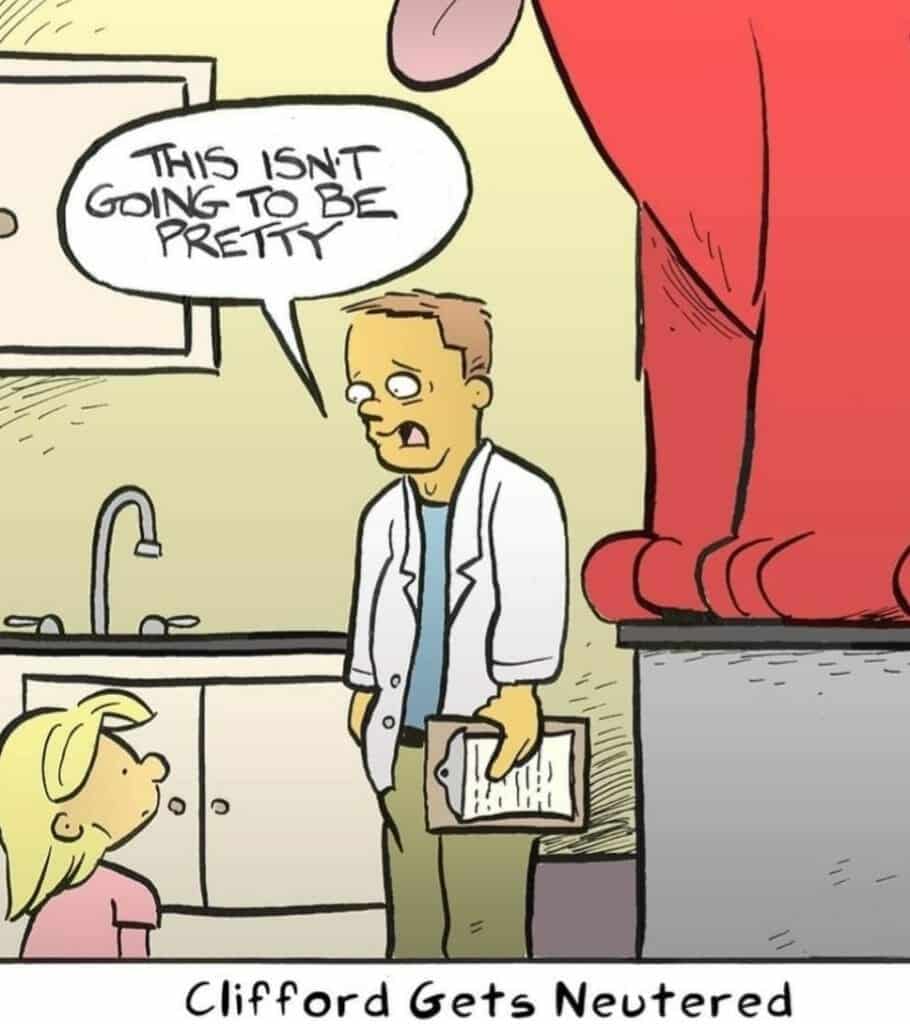 Cartoon of a worried vet standing next to an oversized red dog on an exam table, a little girl looking up, and the vet saying, 'This isn't going to be pretty.'