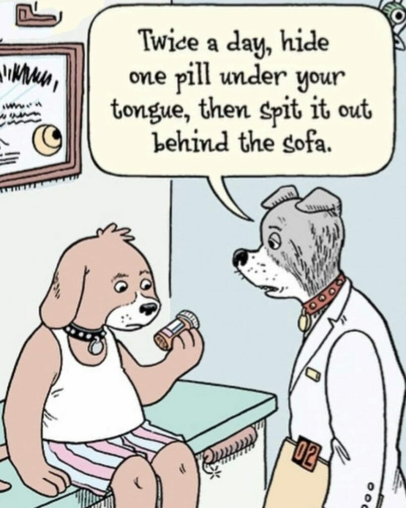 Cartoon of two dogs; one acting as a patient in pajamas holding a pill bottle, the other as a doctor giving medical advice.